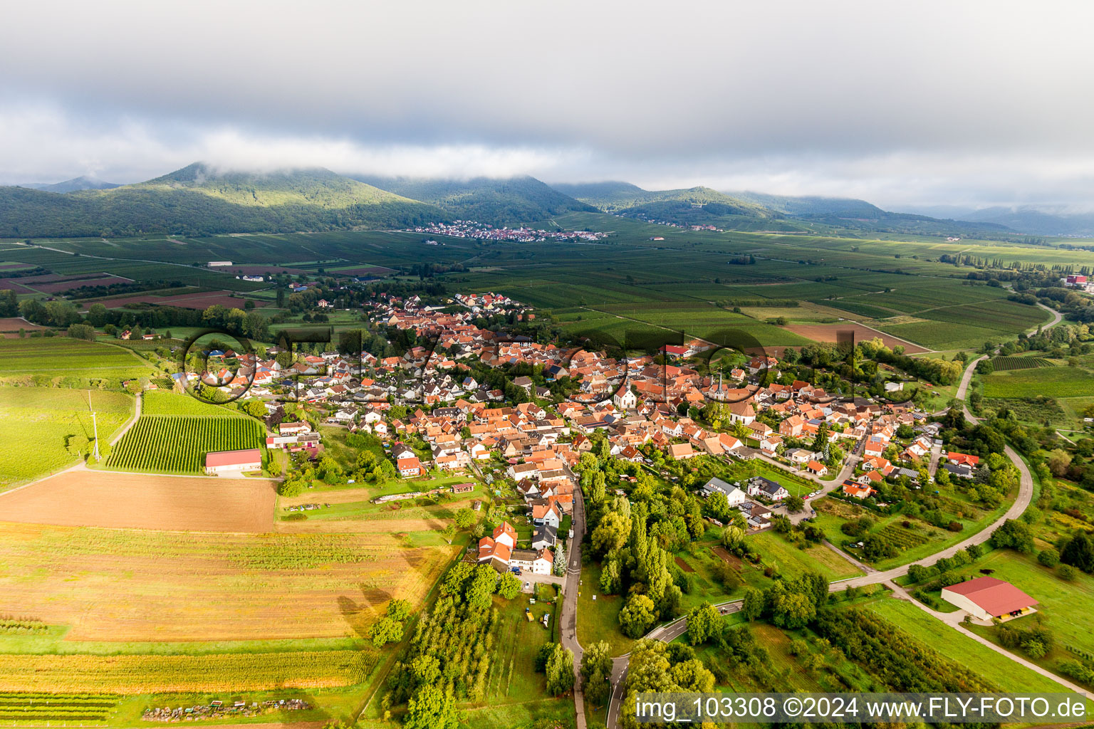 Vue aérienne de Göcklingen dans le département Rhénanie-Palatinat, Allemagne