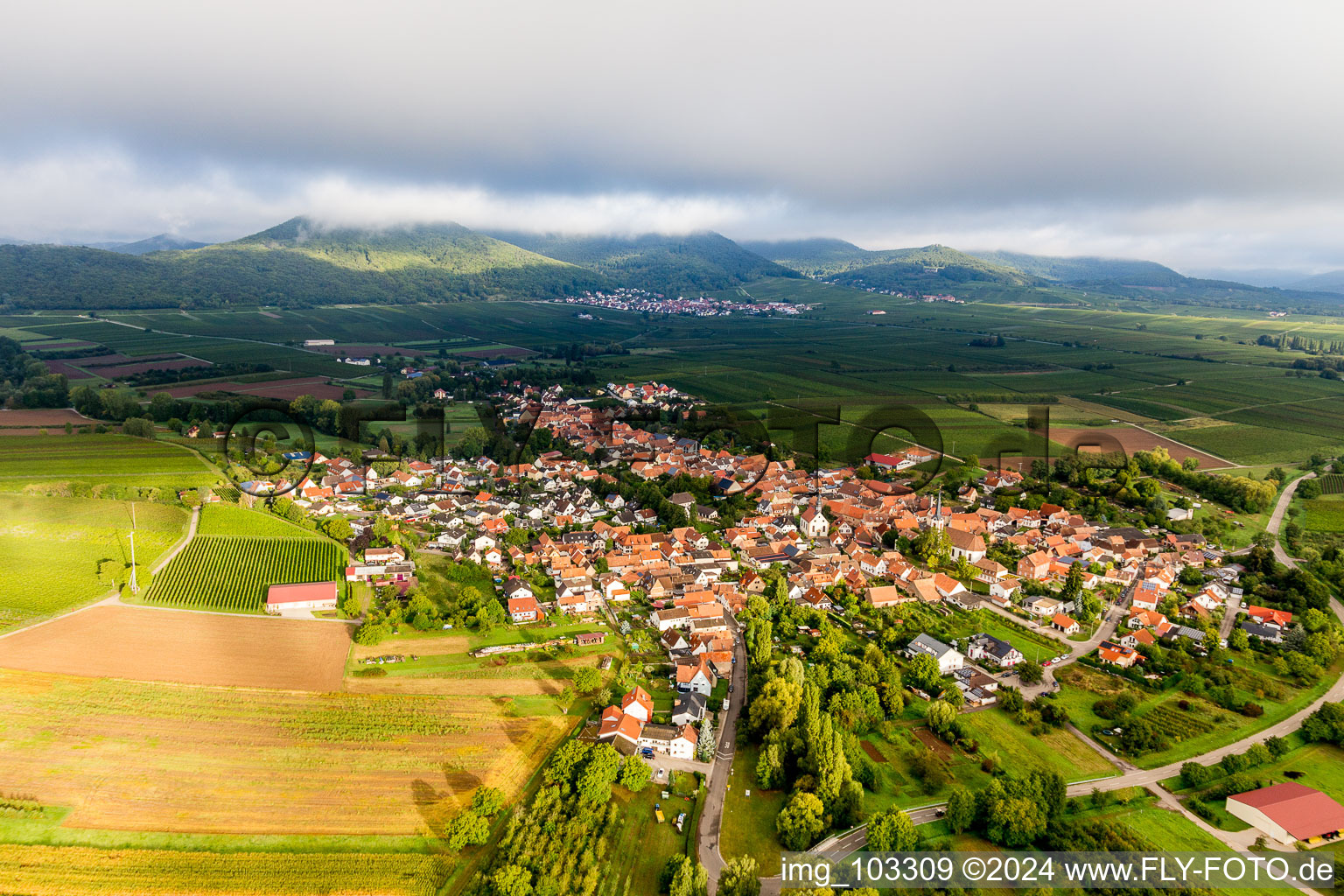 Vue aérienne de Dans la lumière du matin devant des nuages bas à Göcklingen dans le département Rhénanie-Palatinat, Allemagne