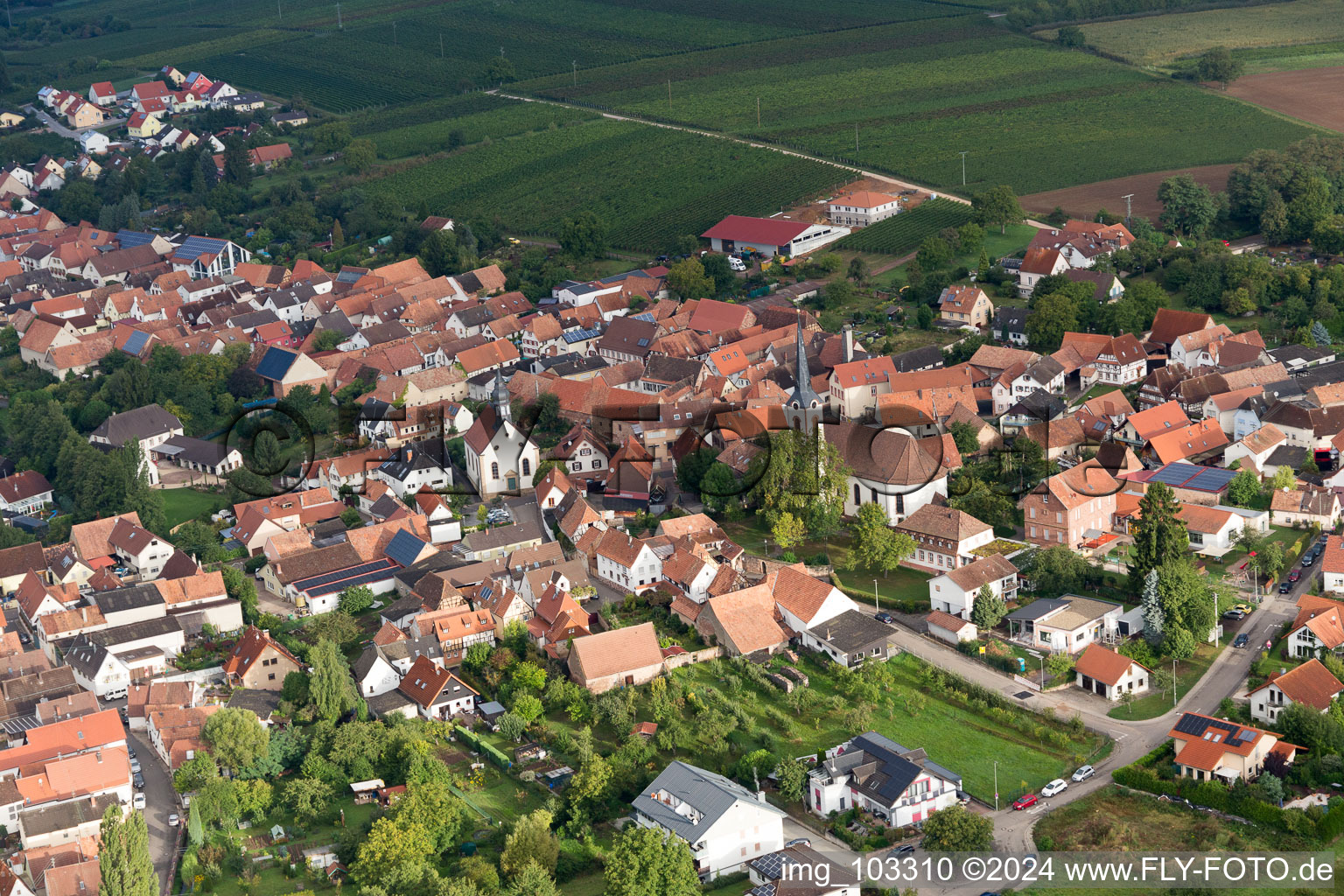 Photographie aérienne de Göcklingen dans le département Rhénanie-Palatinat, Allemagne