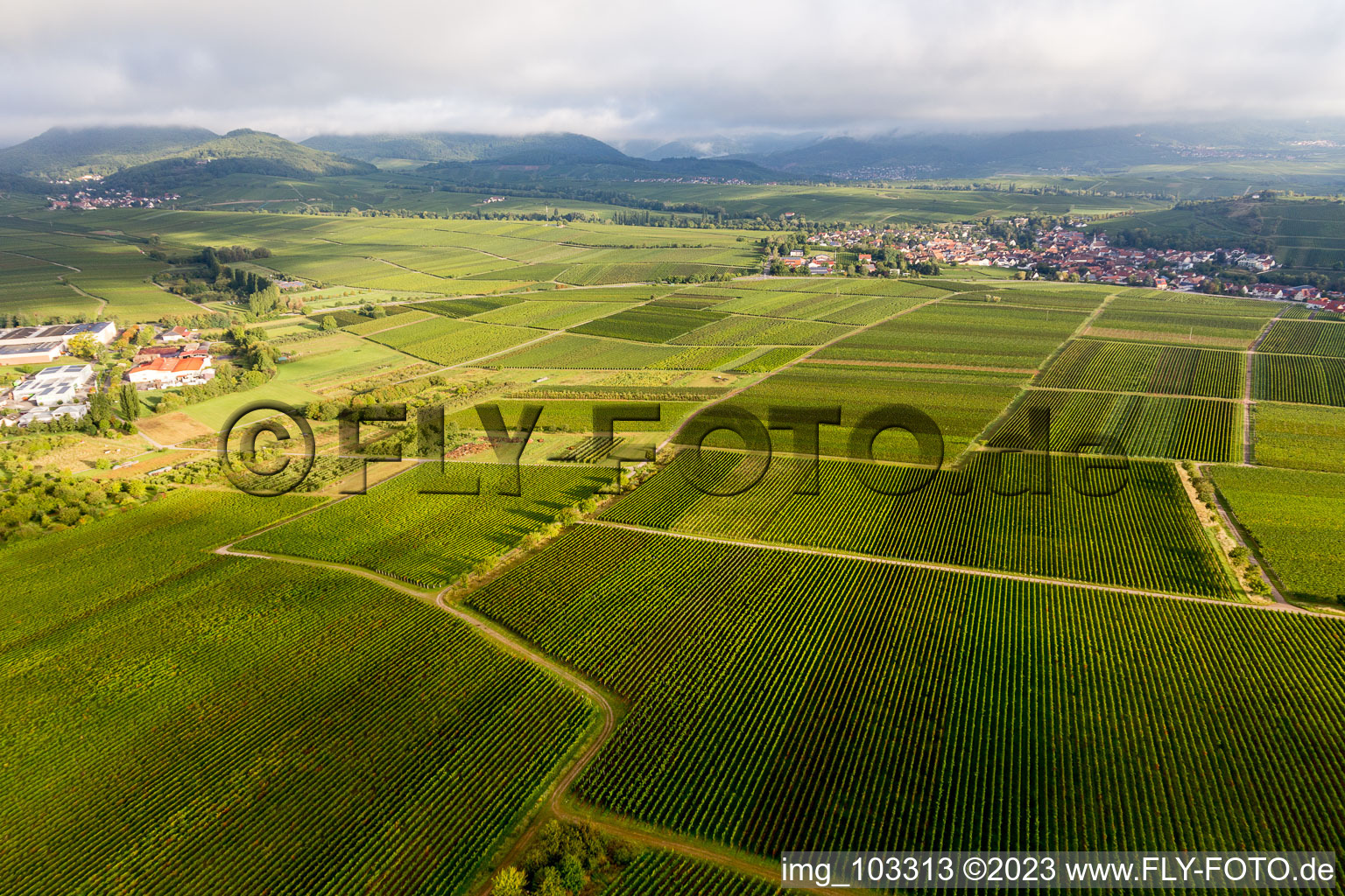 Image drone de Ilbesheim bei Landau in der Pfalz dans le département Rhénanie-Palatinat, Allemagne