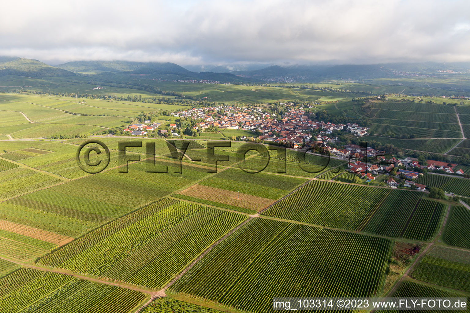 Ilbesheim bei Landau in der Pfalz dans le département Rhénanie-Palatinat, Allemagne du point de vue du drone