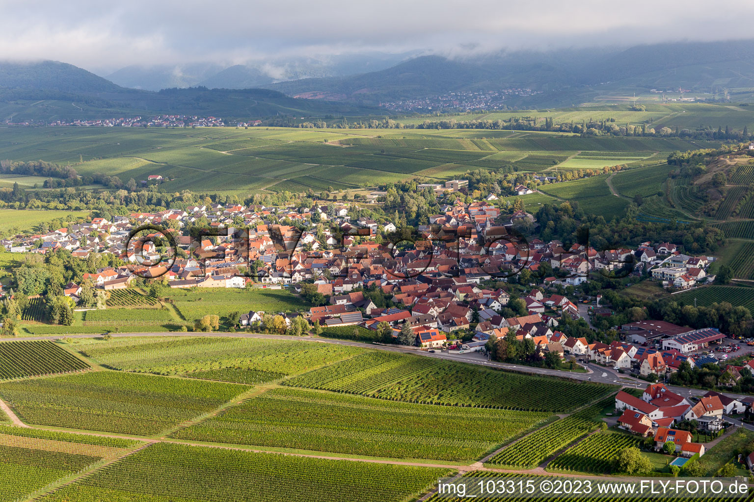 Ilbesheim bei Landau in der Pfalz dans le département Rhénanie-Palatinat, Allemagne d'un drone