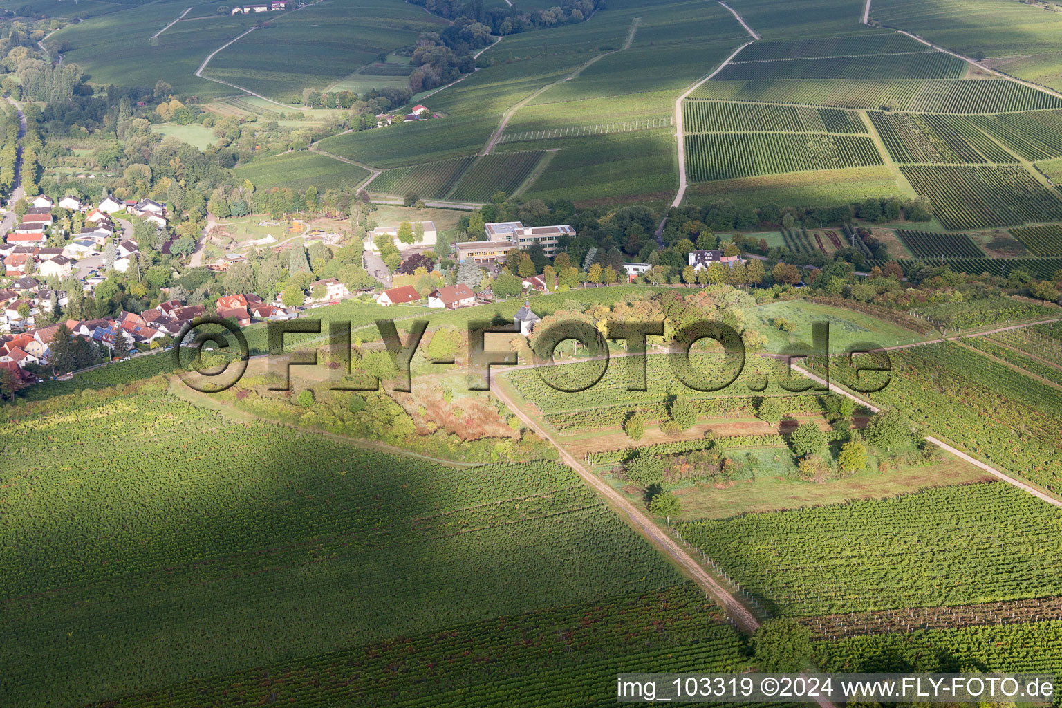 Photographie aérienne de Ilbesheim bei Landau in der Pfalz dans le département Rhénanie-Palatinat, Allemagne