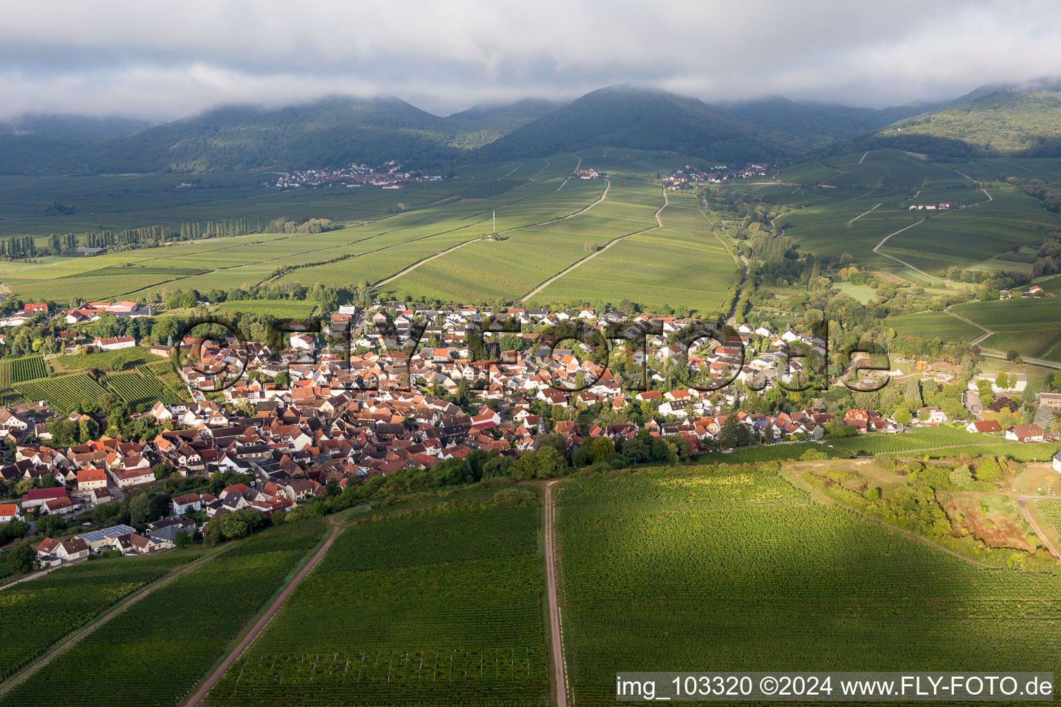 Vue oblique de Ilbesheim bei Landau in der Pfalz dans le département Rhénanie-Palatinat, Allemagne