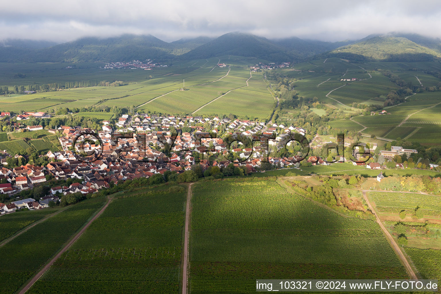 Ilbesheim bei Landau in der Pfalz dans le département Rhénanie-Palatinat, Allemagne d'en haut