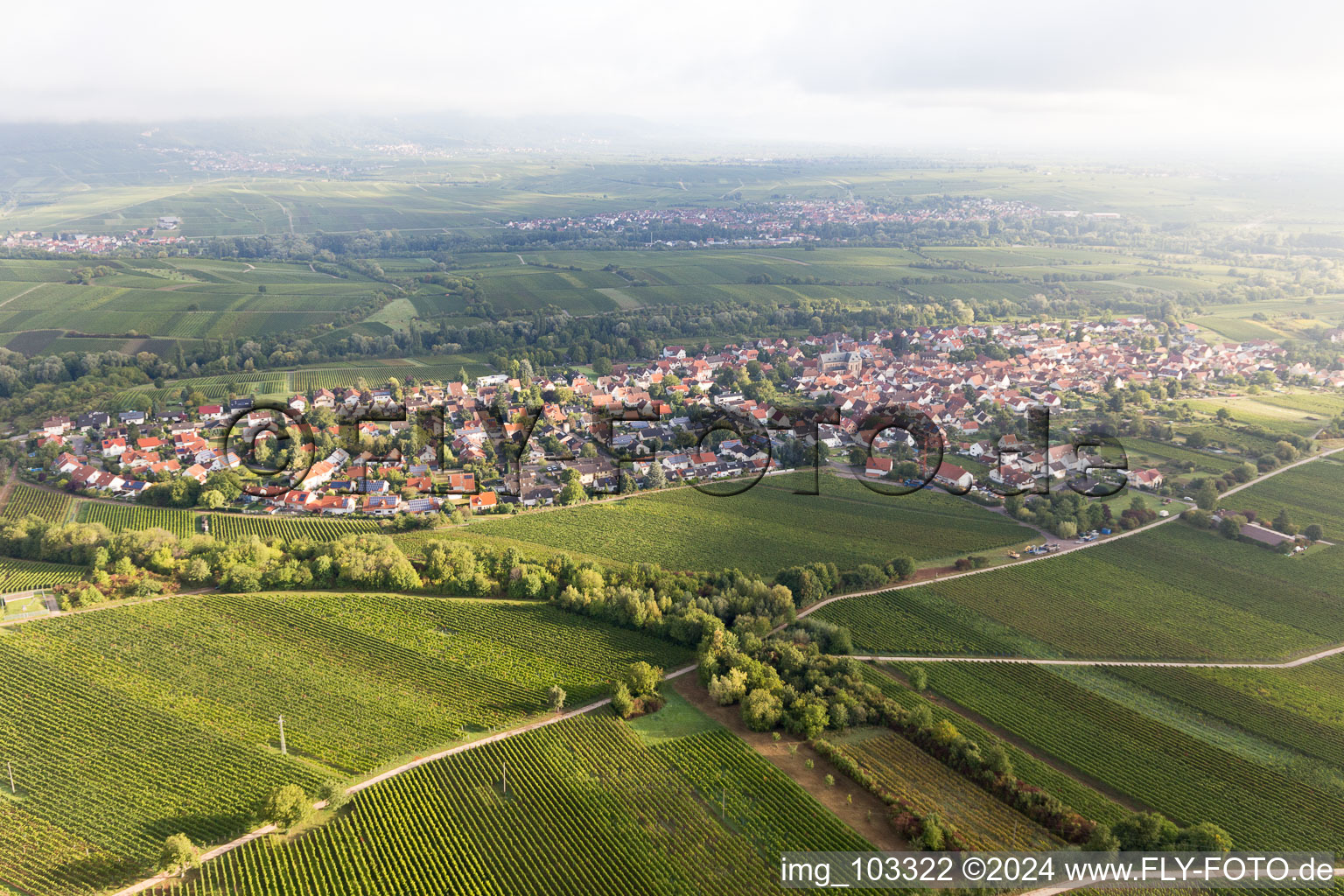 Vue aérienne de Quartier Arzheim in Landau in der Pfalz dans le département Rhénanie-Palatinat, Allemagne