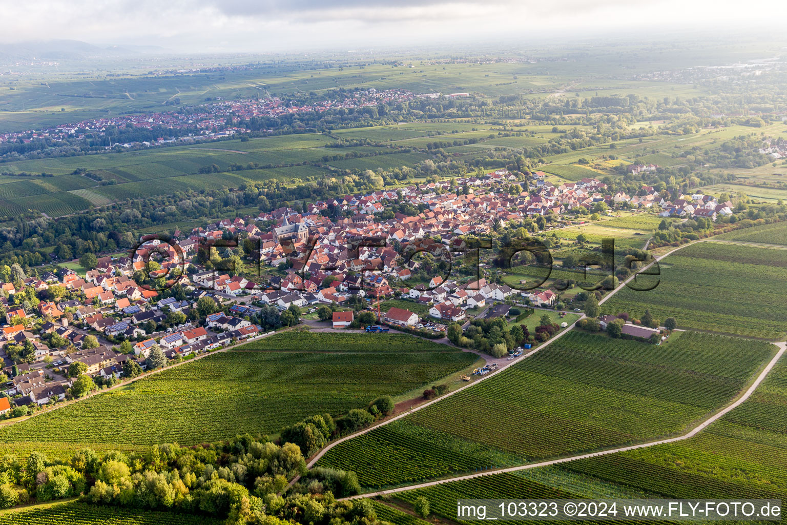 Vue aérienne de Quartier Arzheim in Landau in der Pfalz dans le département Rhénanie-Palatinat, Allemagne