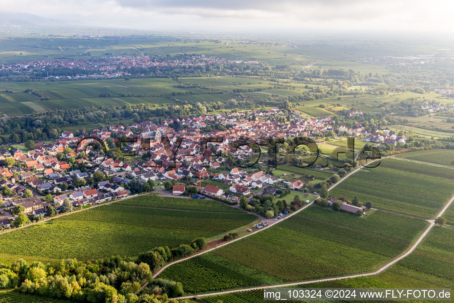 Photographie aérienne de Quartier Arzheim in Landau in der Pfalz dans le département Rhénanie-Palatinat, Allemagne