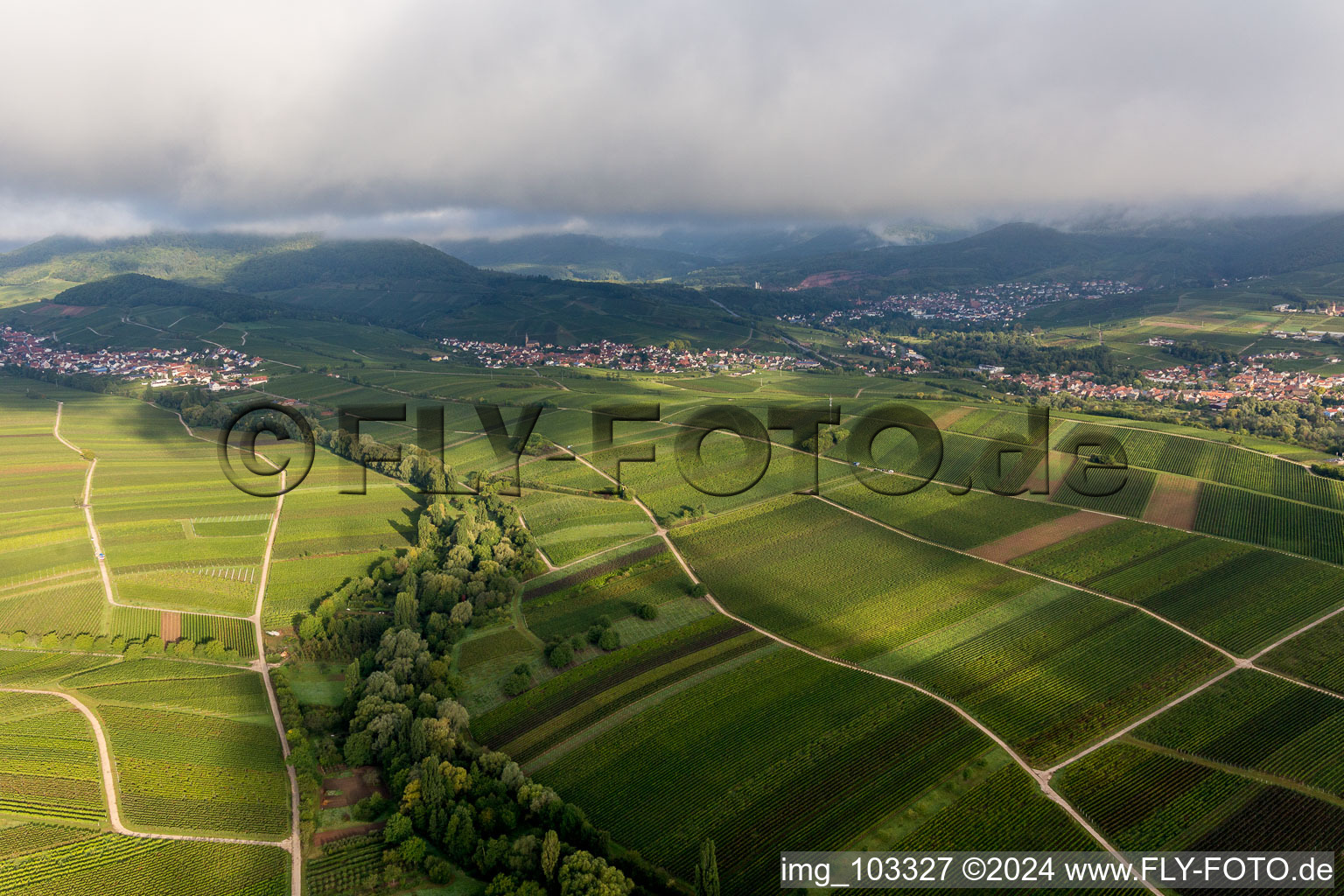 Ilbesheim bei Landau in der Pfalz dans le département Rhénanie-Palatinat, Allemagne vue d'en haut