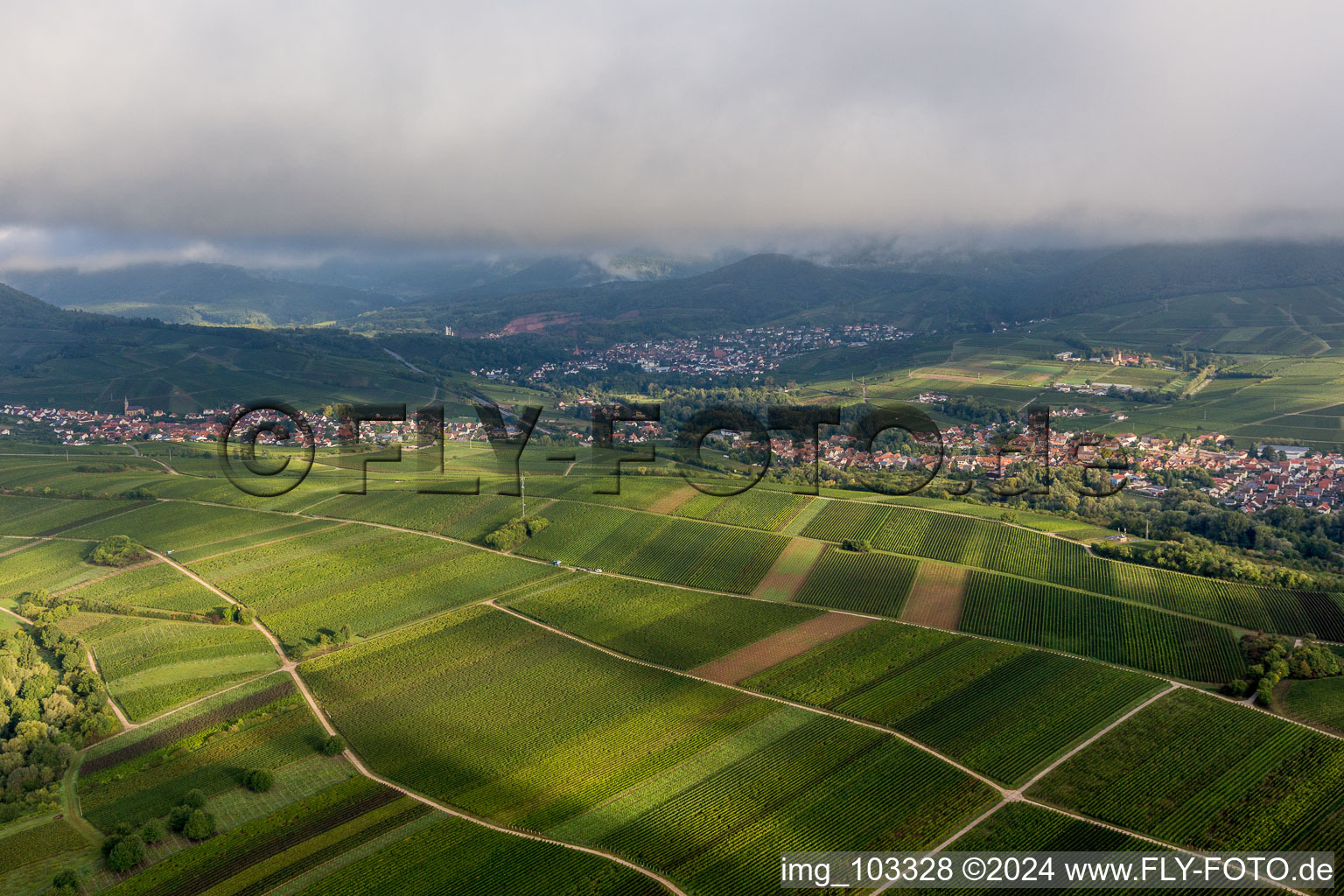 Ilbesheim bei Landau in der Pfalz dans le département Rhénanie-Palatinat, Allemagne depuis l'avion