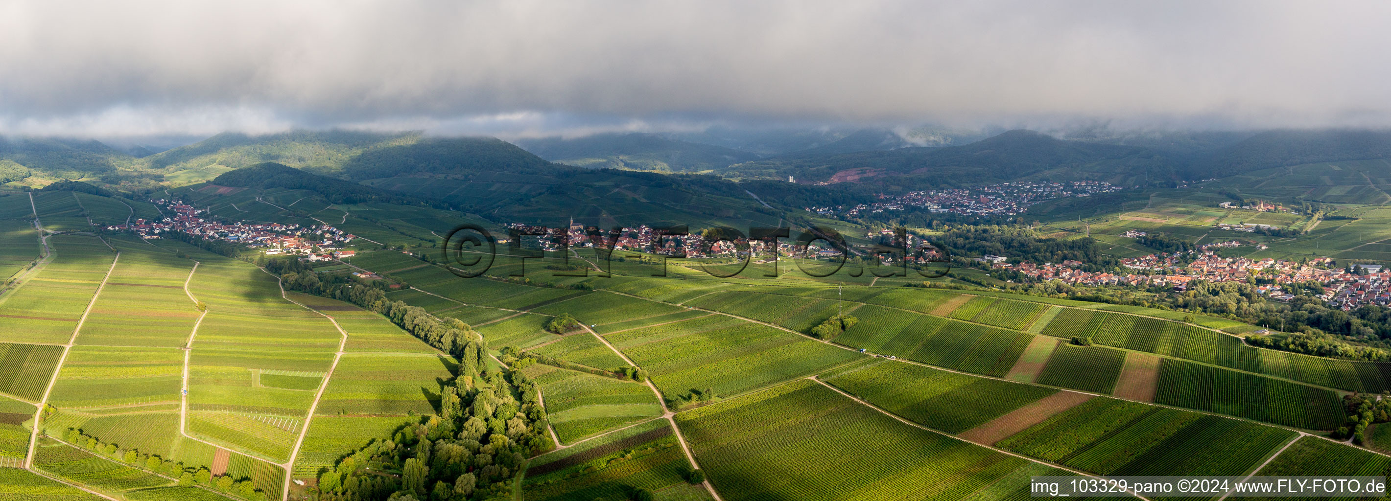 Vue d'oiseau de Ilbesheim bei Landau in der Pfalz dans le département Rhénanie-Palatinat, Allemagne