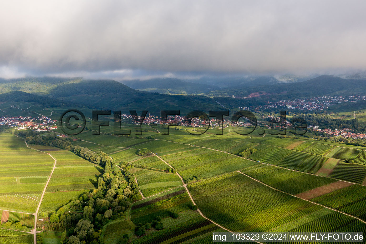 Birkweiler dans le département Rhénanie-Palatinat, Allemagne vue d'en haut