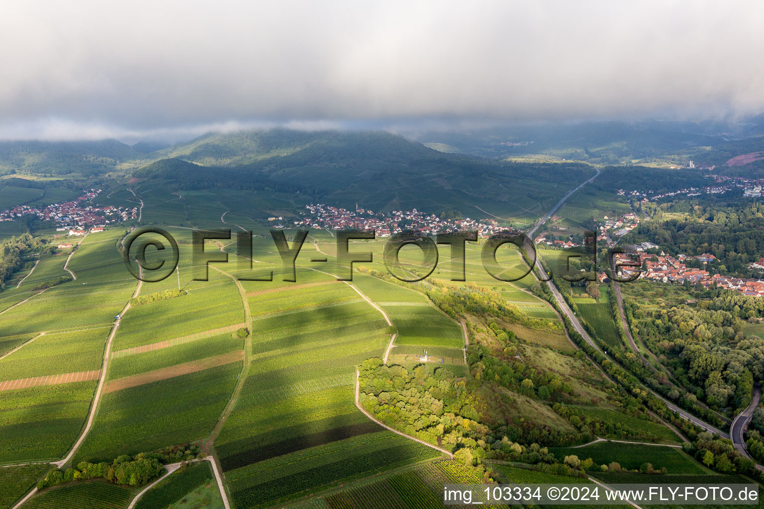 Vue d'oiseau de Birkweiler dans le département Rhénanie-Palatinat, Allemagne