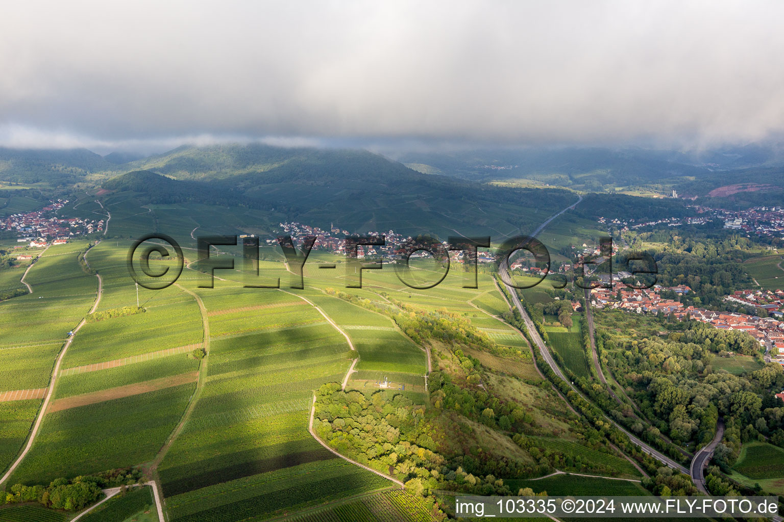 Birkweiler dans le département Rhénanie-Palatinat, Allemagne vue du ciel