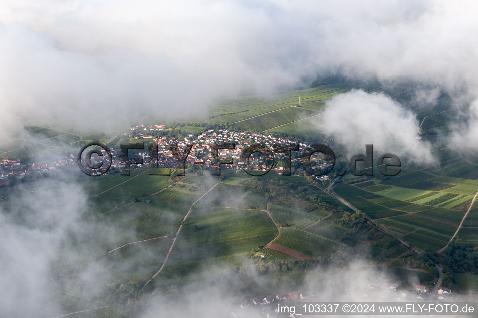 Ilbesheim bei Landau in der Pfalz dans le département Rhénanie-Palatinat, Allemagne vue du ciel