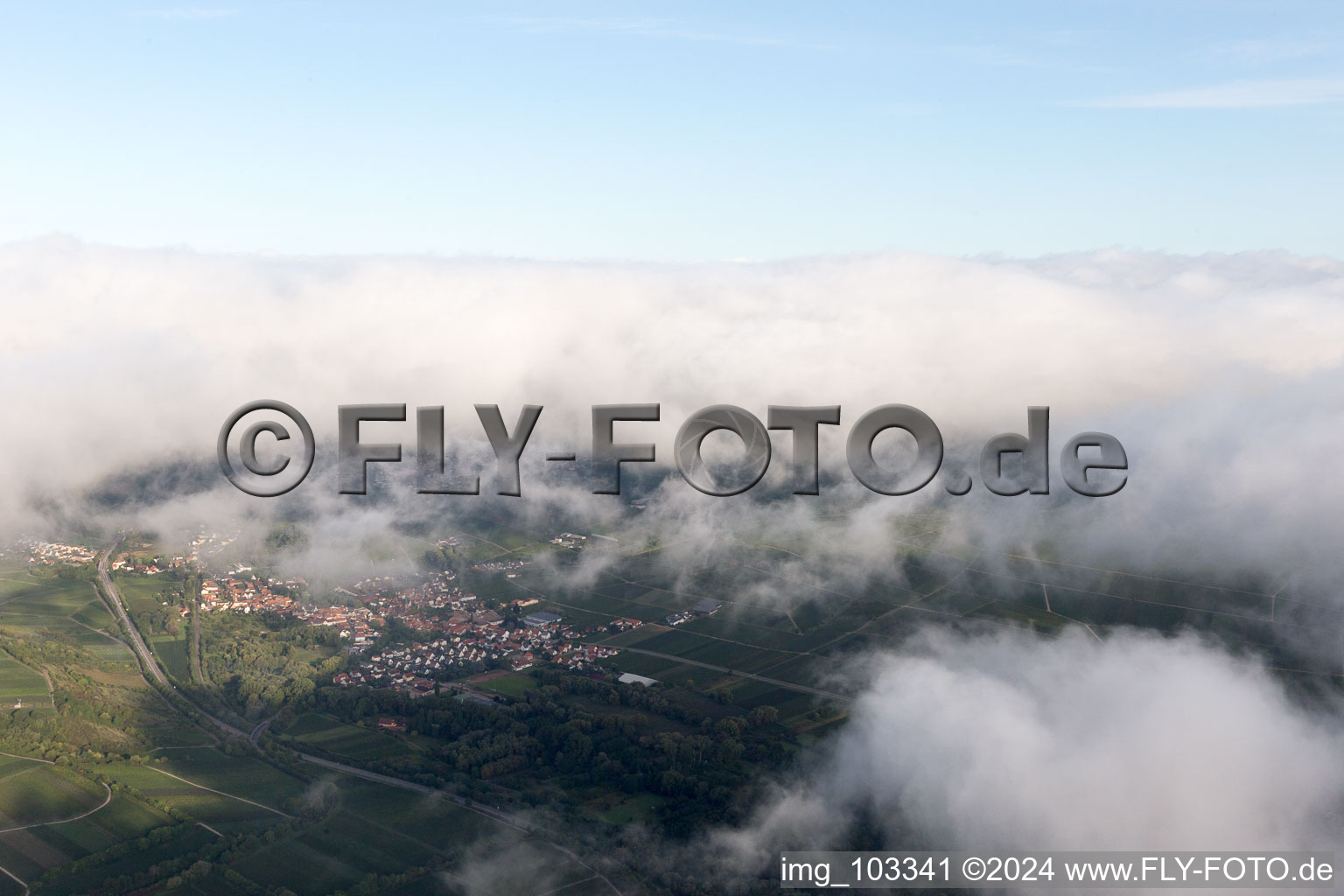 Enregistrement par drone de Ilbesheim bei Landau in der Pfalz dans le département Rhénanie-Palatinat, Allemagne