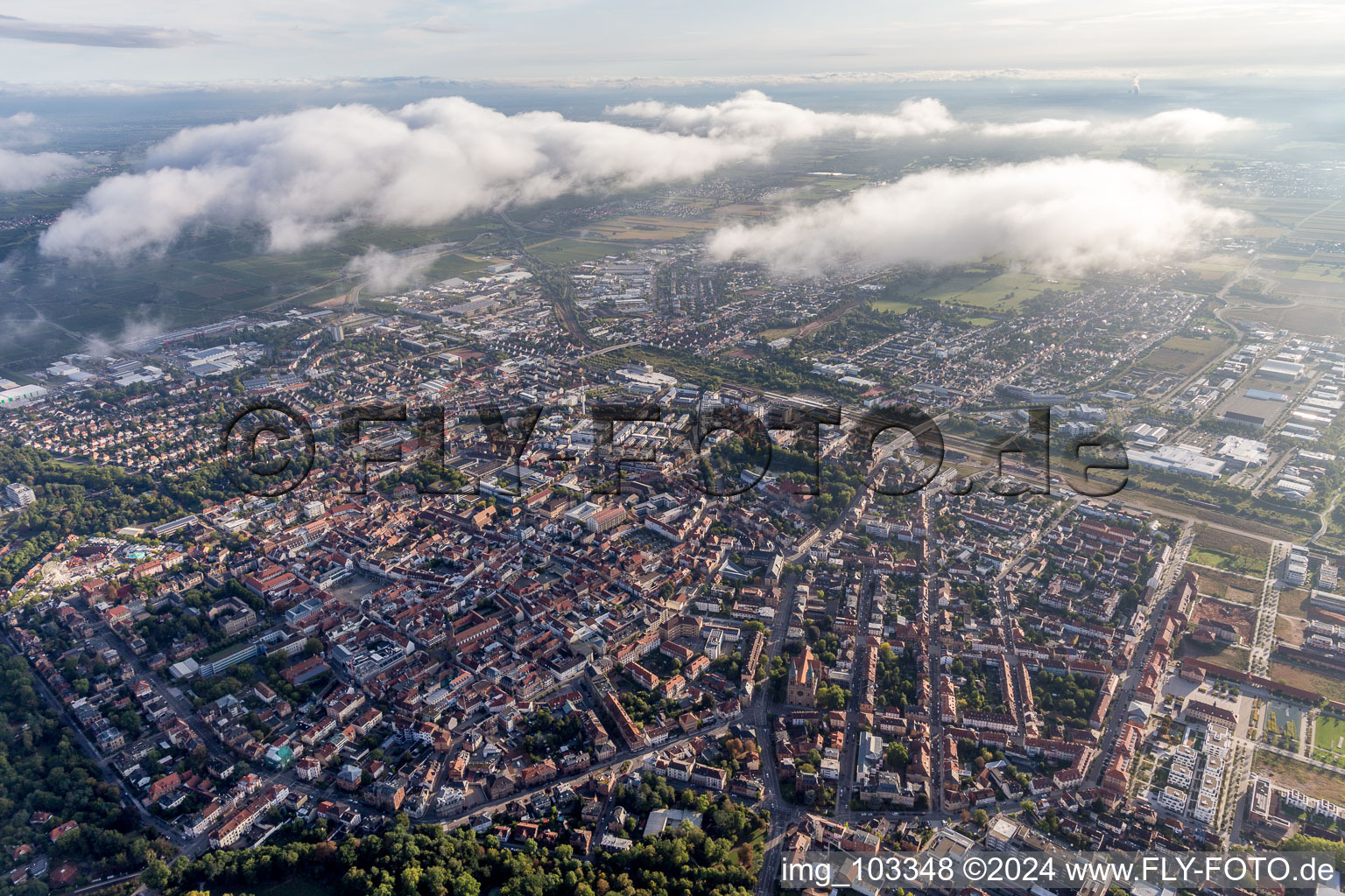 Landau in der Pfalz dans le département Rhénanie-Palatinat, Allemagne vue d'en haut