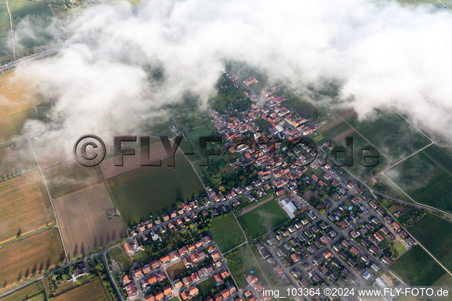 Vue oblique de Quartier Dammheim in Landau in der Pfalz dans le département Rhénanie-Palatinat, Allemagne