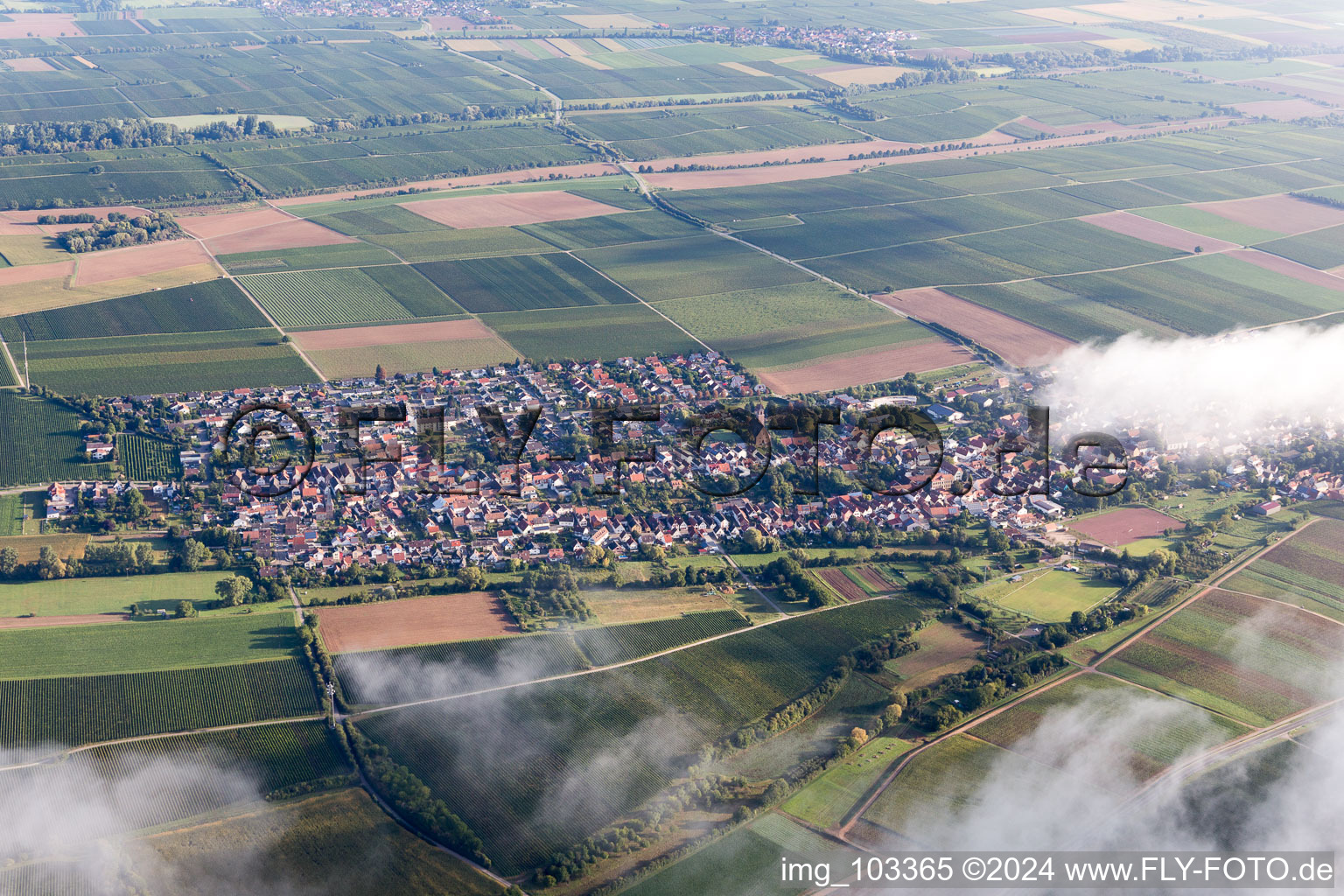 Enregistrement par drone de Essingen dans le département Rhénanie-Palatinat, Allemagne