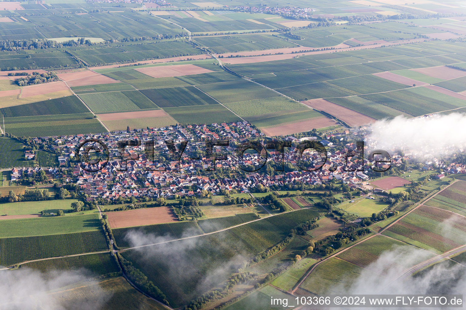 Image drone de Essingen dans le département Rhénanie-Palatinat, Allemagne