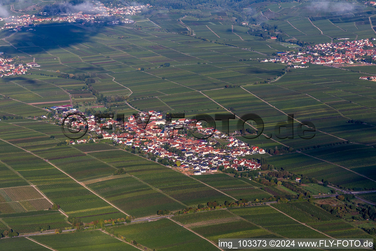 Vue oblique de Roschbach dans le département Rhénanie-Palatinat, Allemagne