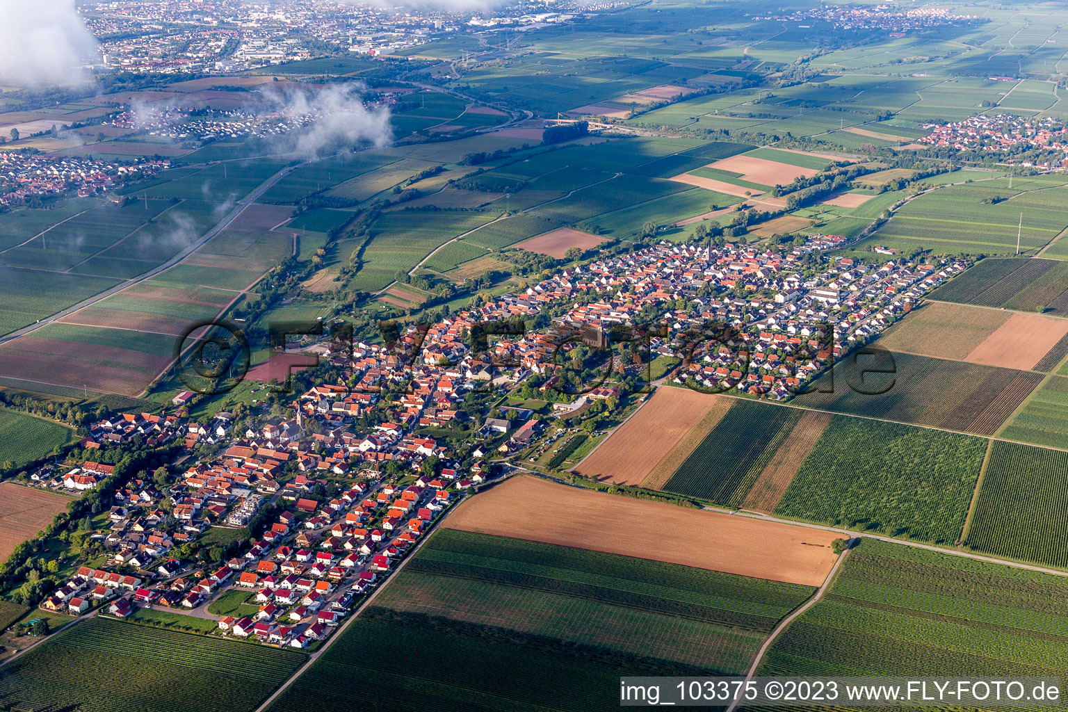 Vue aérienne de Hochstadt dans le département Rhénanie-Palatinat, Allemagne