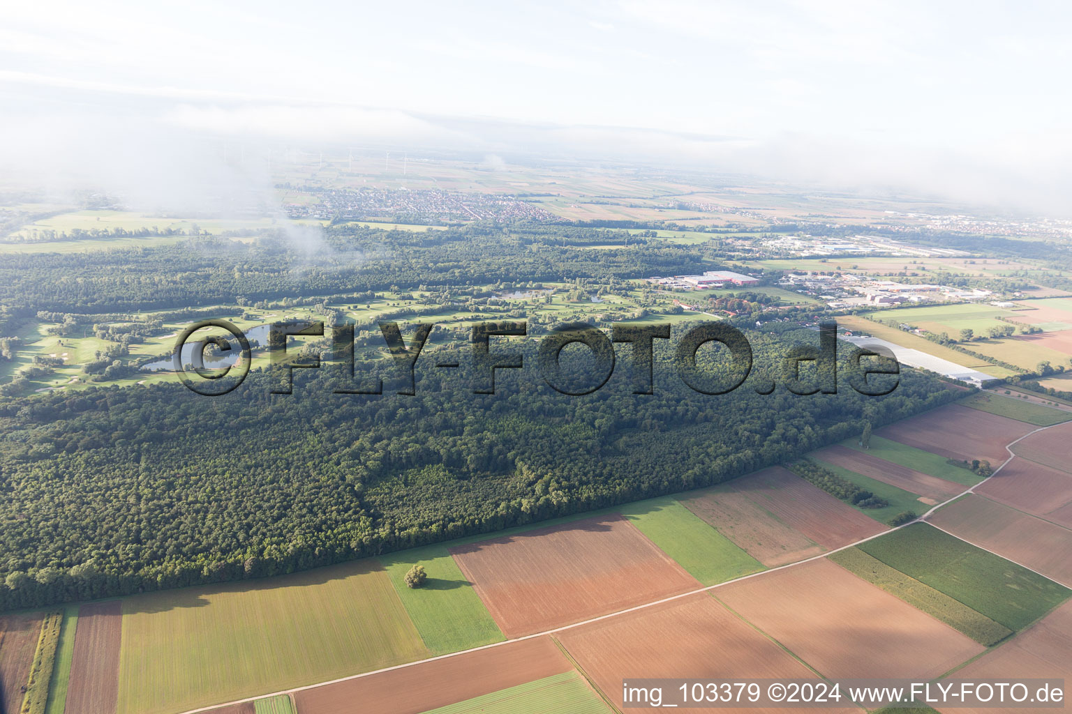 Vue aérienne de Terrain de golf à Essingen dans le département Rhénanie-Palatinat, Allemagne