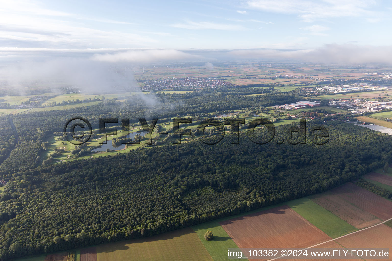 Terrain de golf à Essingen dans le département Rhénanie-Palatinat, Allemagne d'en haut