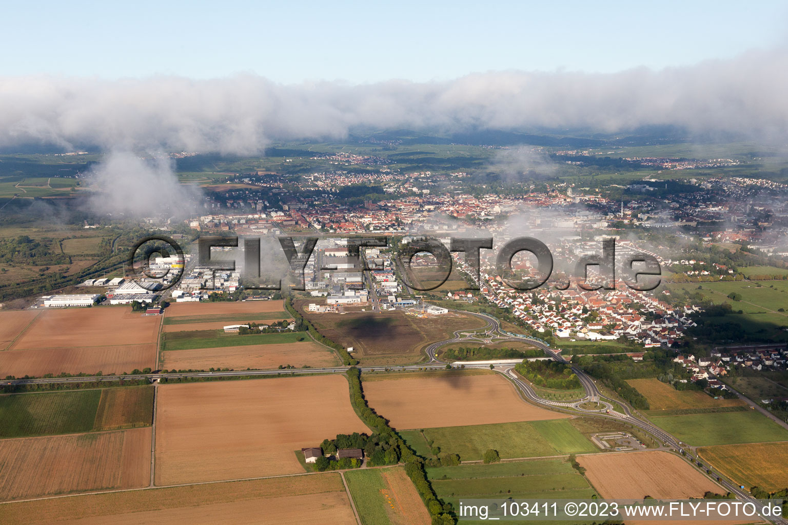 Image drone de Quartier Queichheim in Landau in der Pfalz dans le département Rhénanie-Palatinat, Allemagne