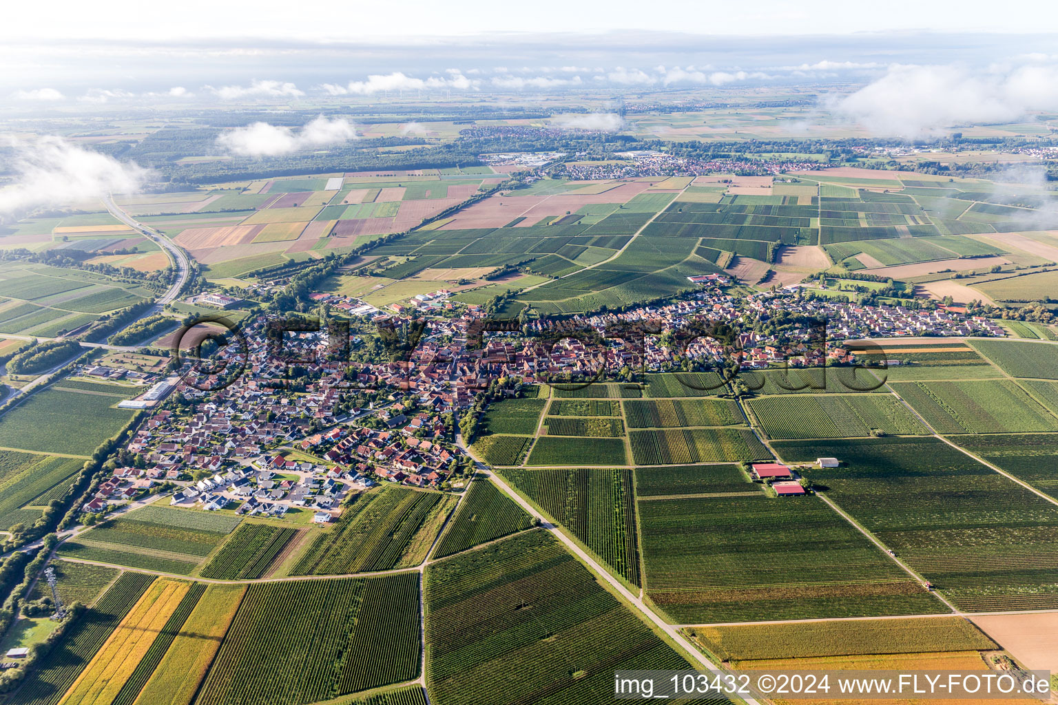 Vue d'oiseau de Insheim dans le département Rhénanie-Palatinat, Allemagne