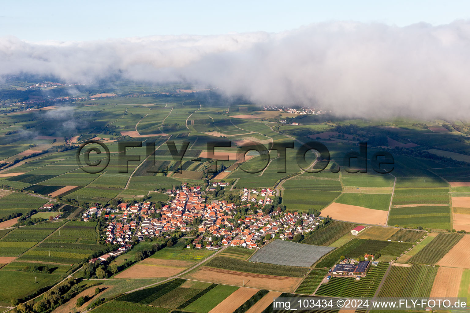 Photographie aérienne de Impflingen dans le département Rhénanie-Palatinat, Allemagne