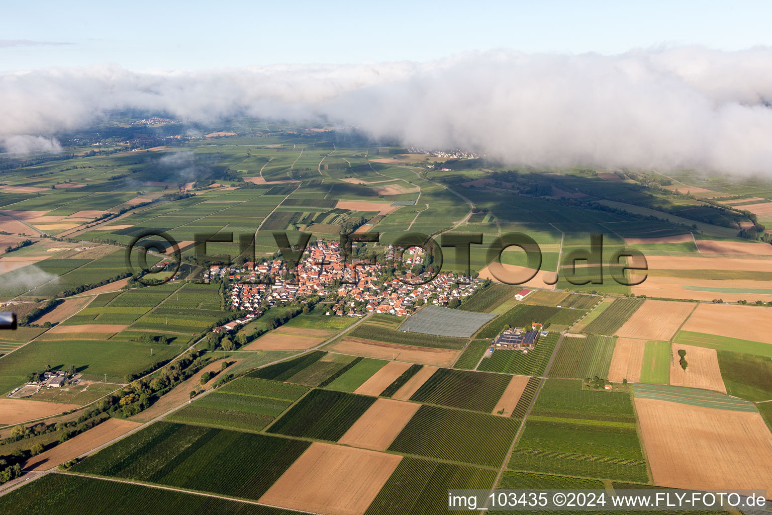 Vue oblique de Impflingen dans le département Rhénanie-Palatinat, Allemagne