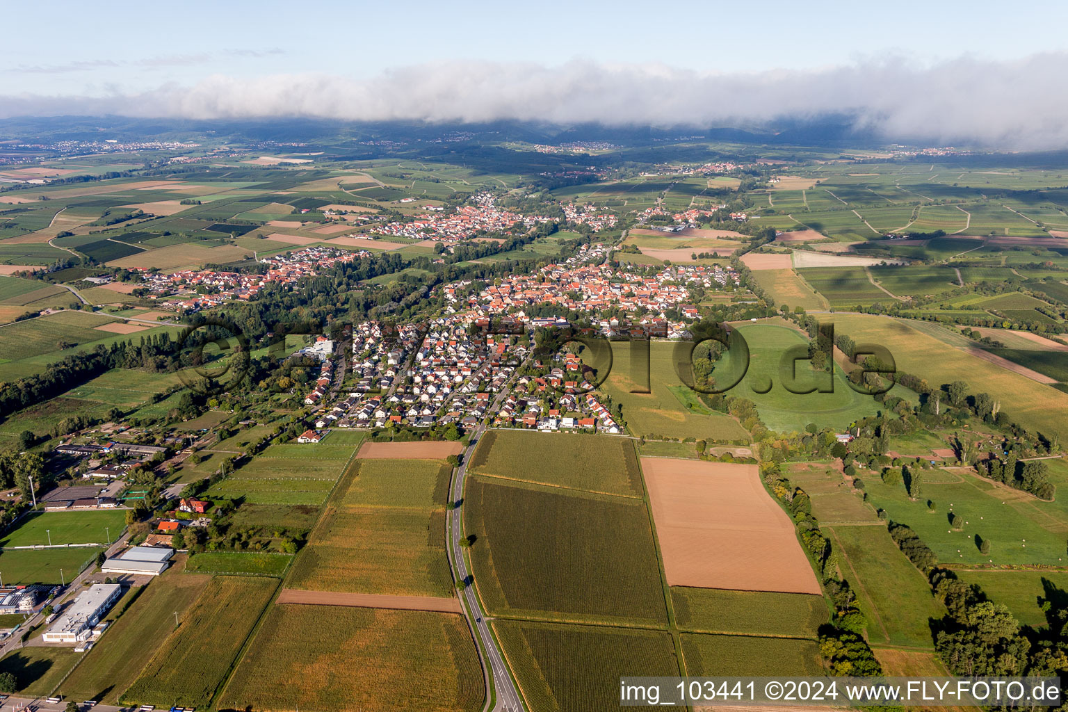 Quartier Billigheim in Billigheim-Ingenheim dans le département Rhénanie-Palatinat, Allemagne hors des airs