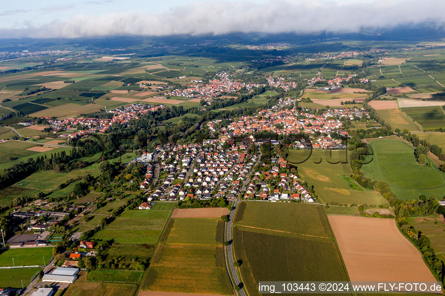 Quartier Billigheim in Billigheim-Ingenheim dans le département Rhénanie-Palatinat, Allemagne vue d'en haut