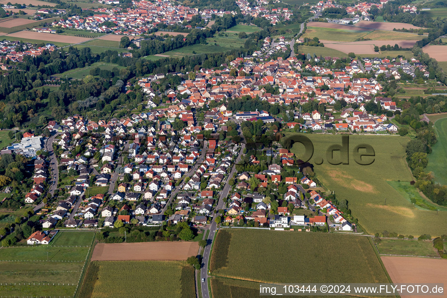 Quartier Billigheim in Billigheim-Ingenheim dans le département Rhénanie-Palatinat, Allemagne depuis l'avion