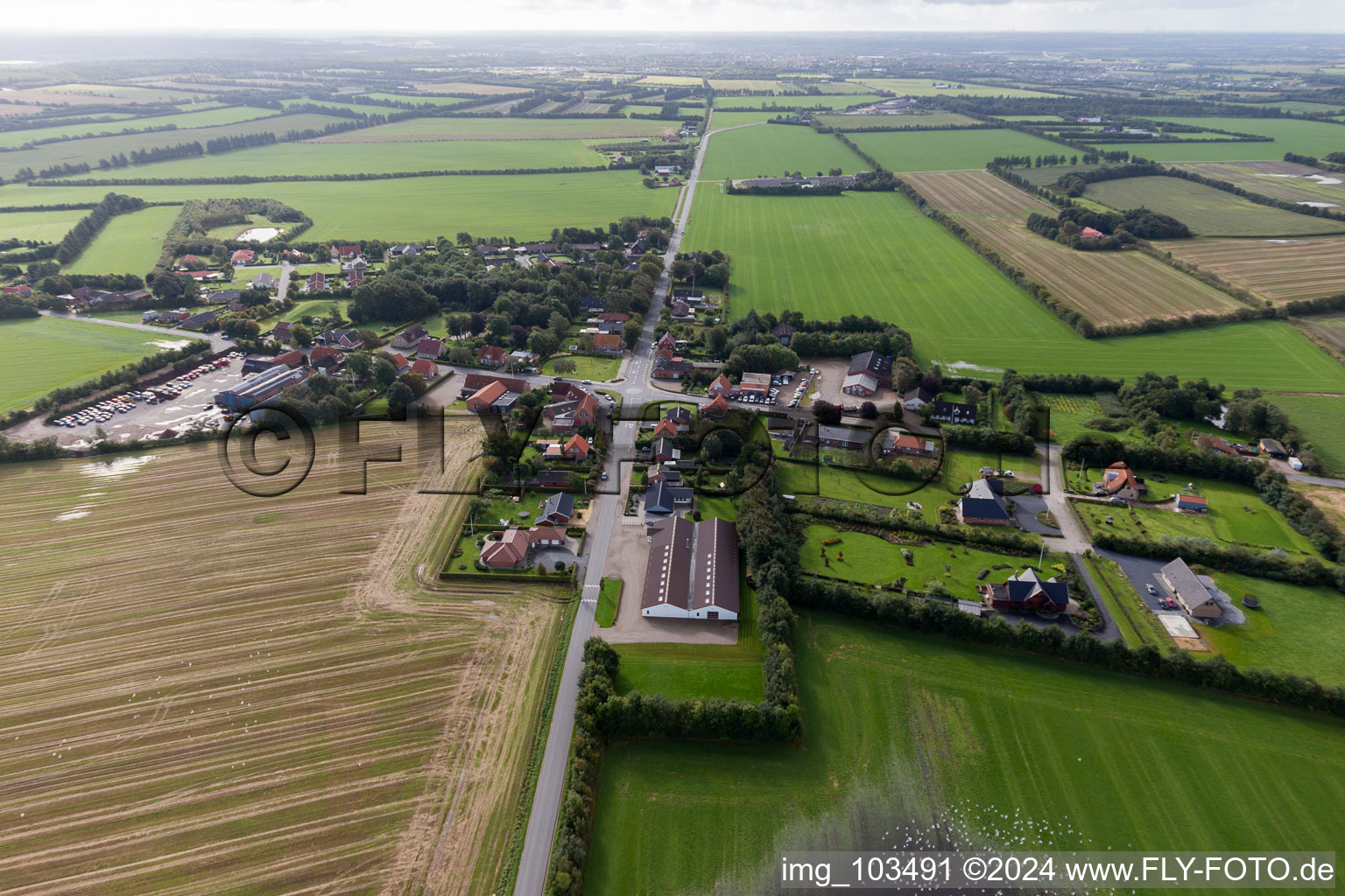 Vue aérienne de Villas de luxe dans le quartier résidentiel d'un lotissement de maisons unifamiliales dans le Jutland à Varde dans le département Syddanmark, Danemark