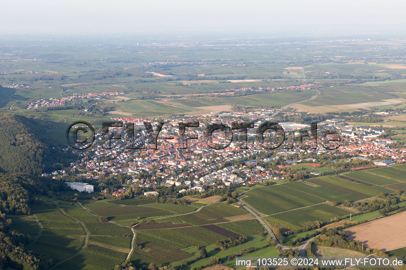 Vue oblique de Bad Bergzabern dans le département Rhénanie-Palatinat, Allemagne