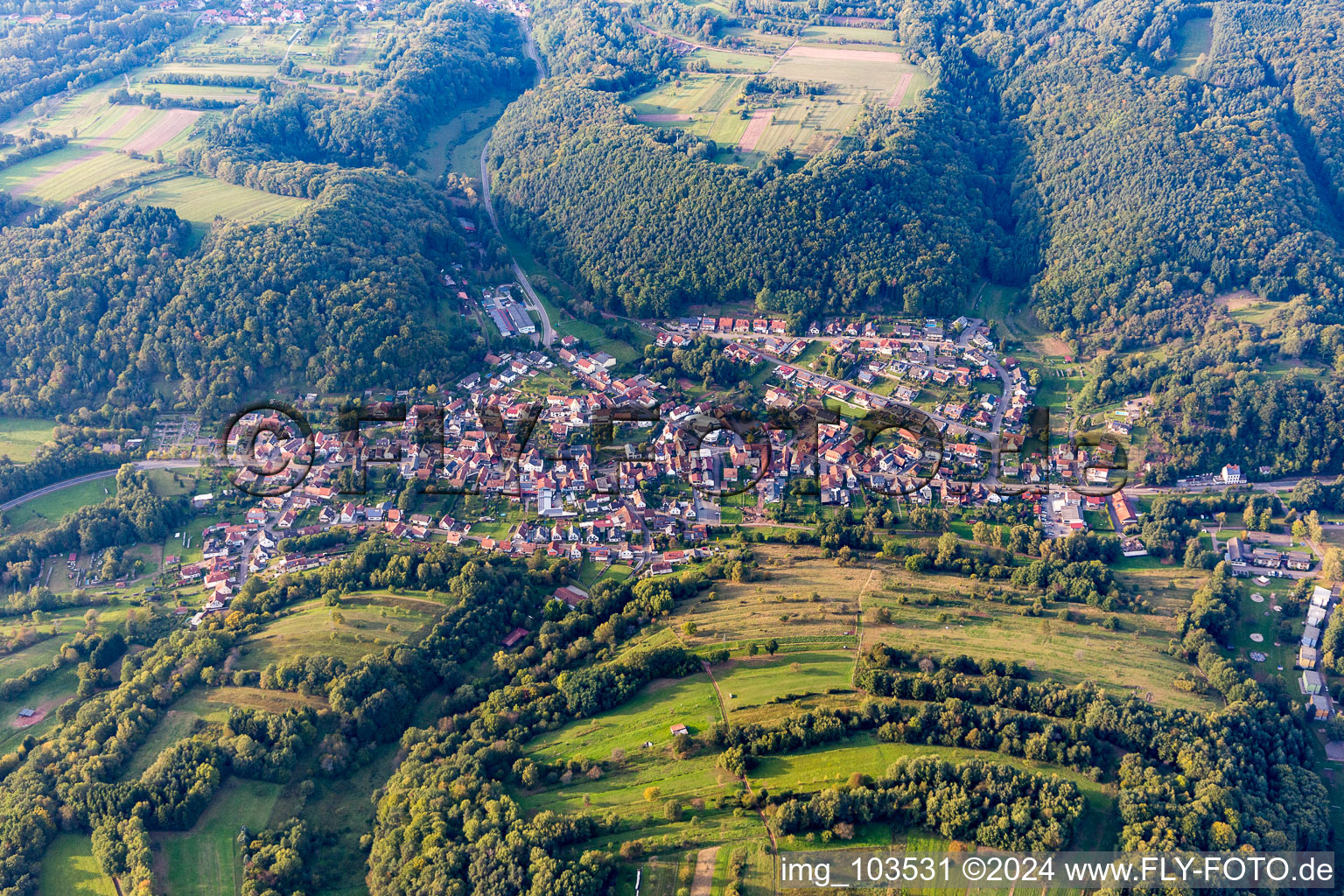 Vue aérienne de Du sud à Silz dans le département Rhénanie-Palatinat, Allemagne