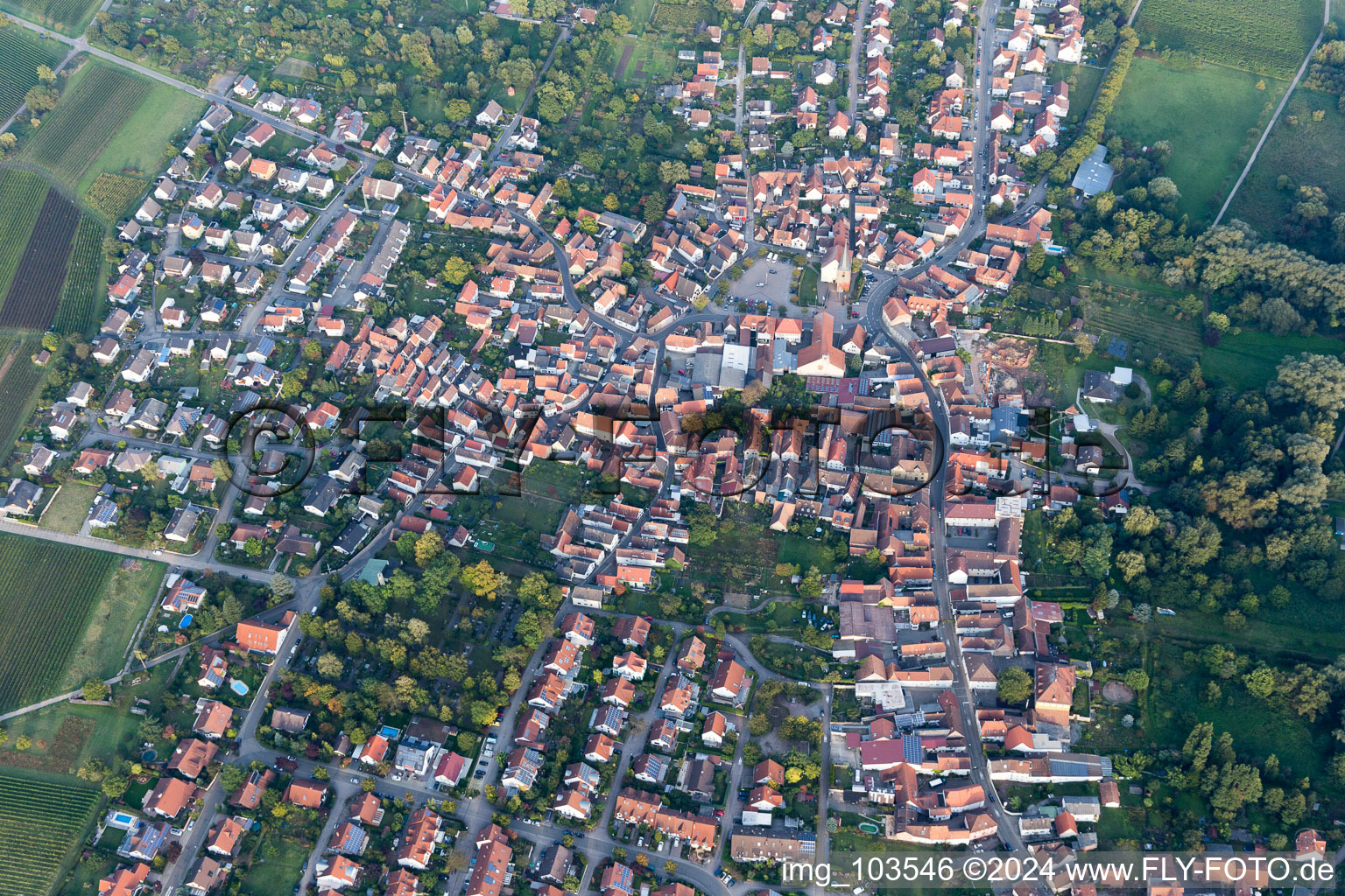 Image drone de Quartier Godramstein in Landau in der Pfalz dans le département Rhénanie-Palatinat, Allemagne