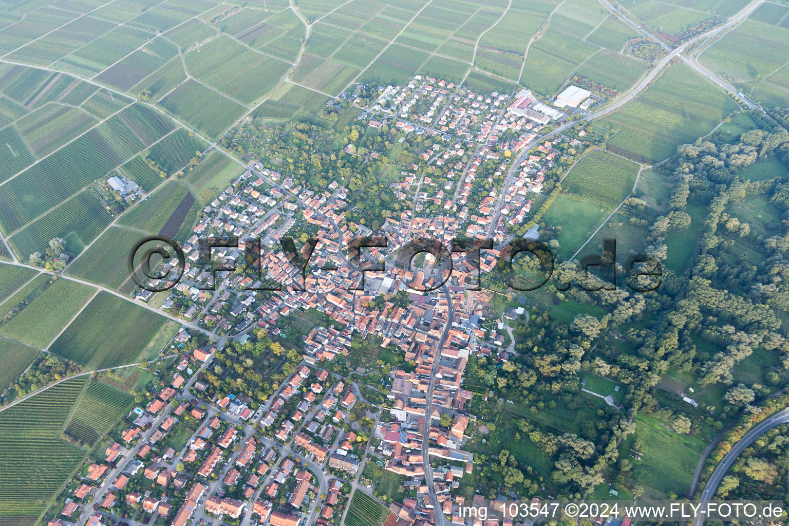 Quartier Godramstein in Landau in der Pfalz dans le département Rhénanie-Palatinat, Allemagne du point de vue du drone