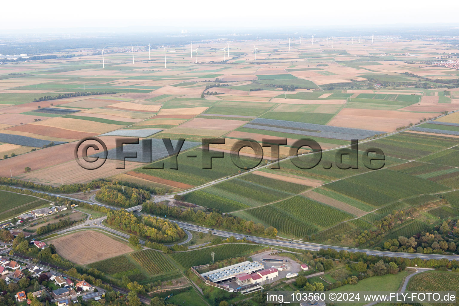 Image drone de Insheim dans le département Rhénanie-Palatinat, Allemagne