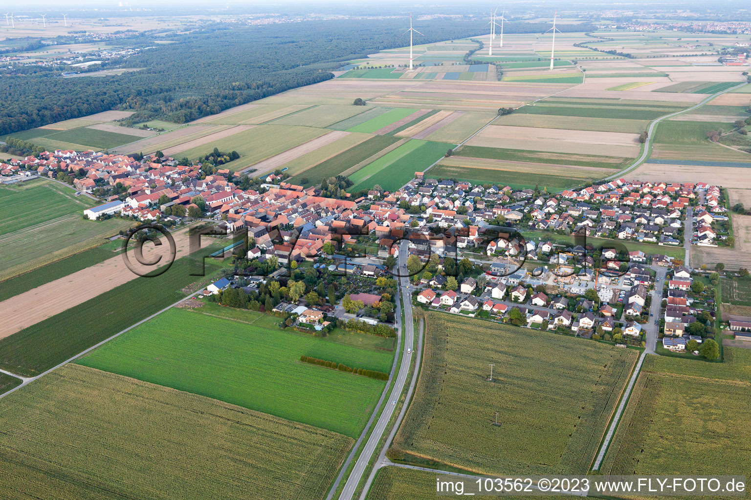 Quartier Hayna in Herxheim bei Landau dans le département Rhénanie-Palatinat, Allemagne depuis l'avion