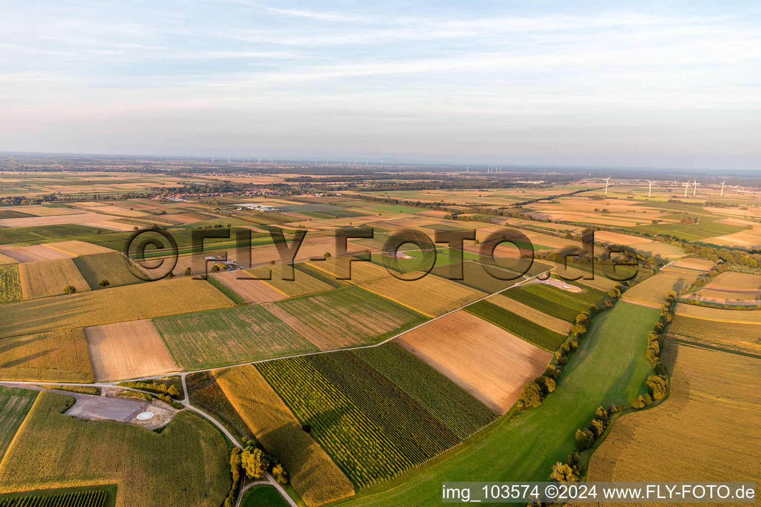 Chantier de construction du parc éolien EnBW Freckenfeld - pour une éolienne de 6 éoliennes à Freckenfeld dans le département Rhénanie-Palatinat, Allemagne depuis l'avion