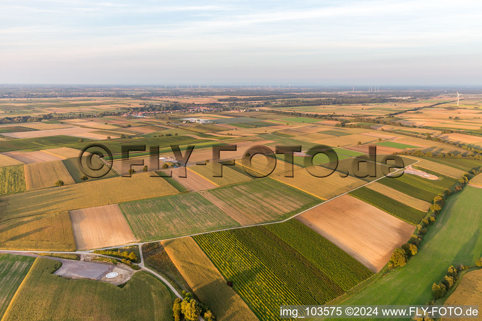 Vue d'oiseau de Chantier de construction du parc éolien EnBW Freckenfeld - pour une éolienne de 6 éoliennes à Freckenfeld dans le département Rhénanie-Palatinat, Allemagne