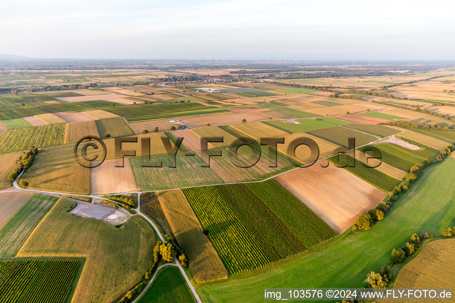 Chantier de construction du parc éolien EnBW Freckenfeld - pour une éolienne de 6 éoliennes à Freckenfeld dans le département Rhénanie-Palatinat, Allemagne vue du ciel