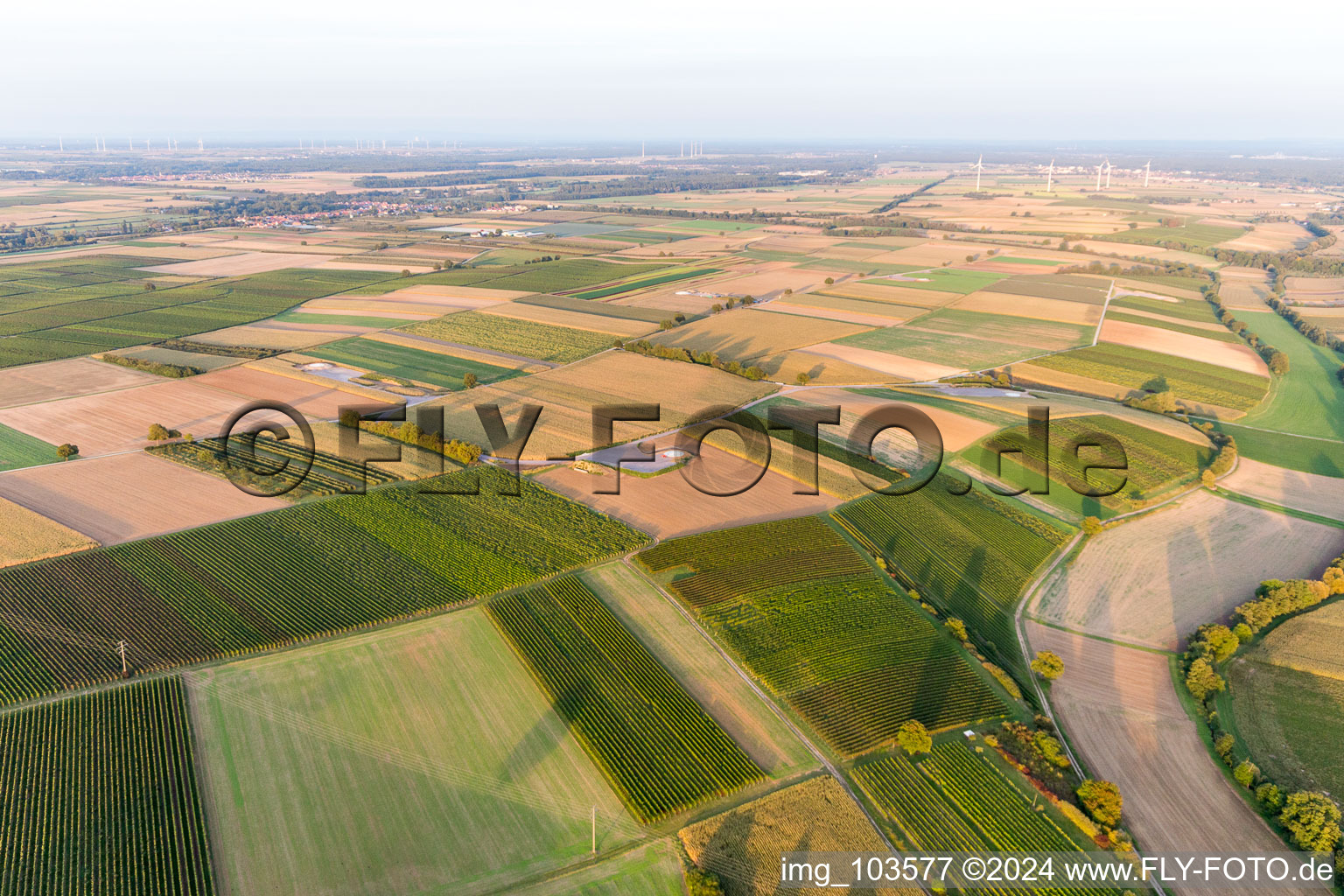 Enregistrement par drone de Chantier de construction du parc éolien EnBW Freckenfeld - pour une éolienne de 6 éoliennes à Freckenfeld dans le département Rhénanie-Palatinat, Allemagne