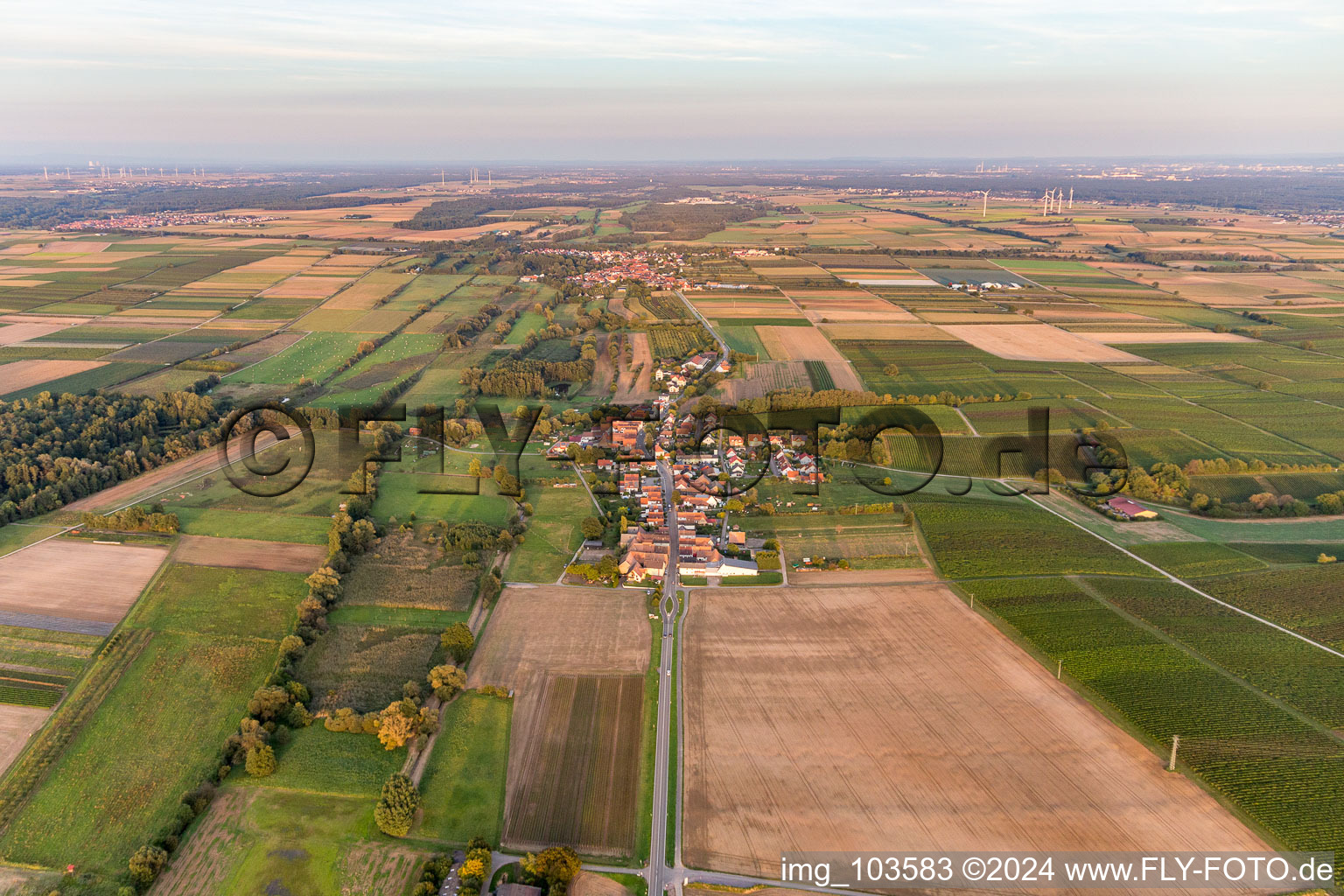 Photographie aérienne de Hergersweiler dans le département Rhénanie-Palatinat, Allemagne