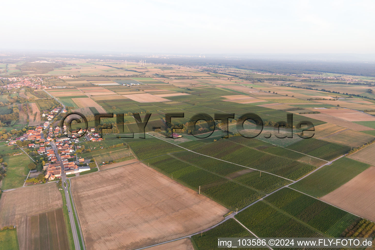 Vue oblique de Hergersweiler dans le département Rhénanie-Palatinat, Allemagne