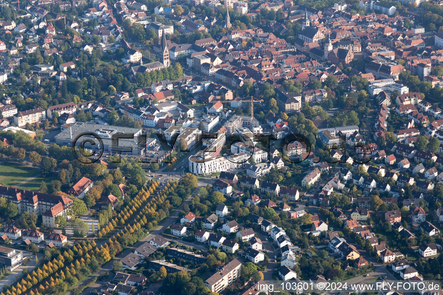 Vue aérienne de Lieu du pachyderme à Ettlingen dans le département Bade-Wurtemberg, Allemagne