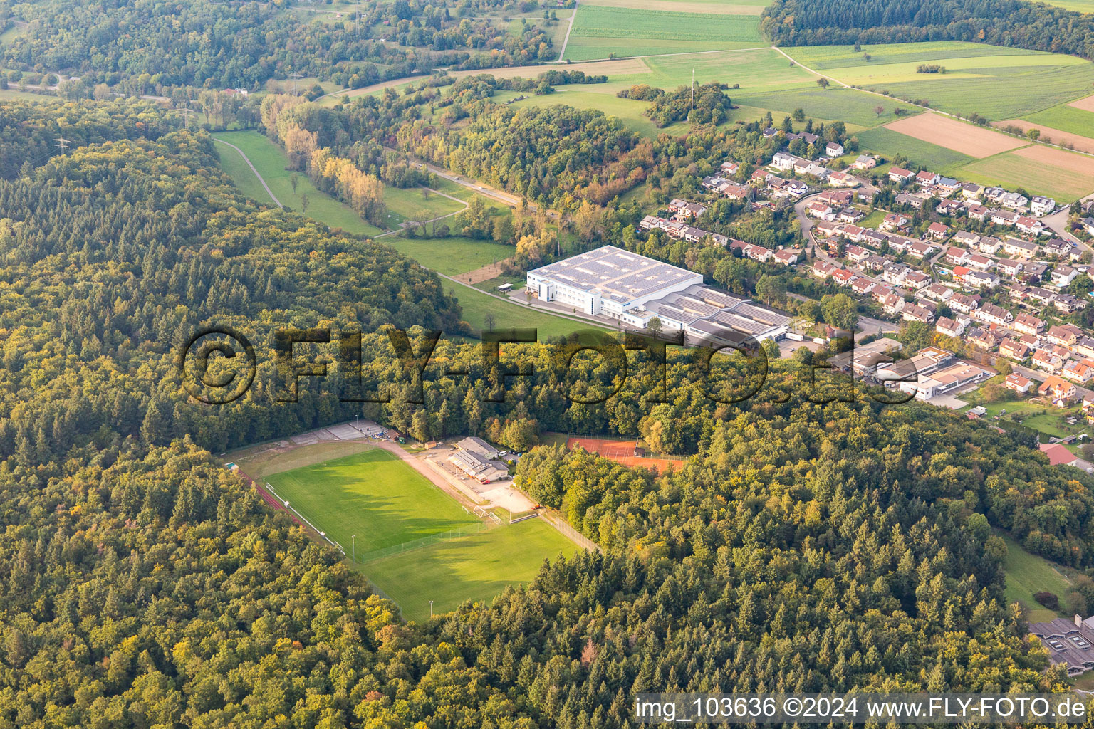 Eisingen dans le département Bade-Wurtemberg, Allemagne hors des airs